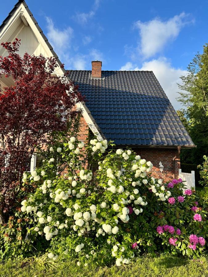 Louf Apartamento Wiesmoor Exterior foto
